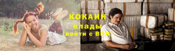 мдпв Кинешма