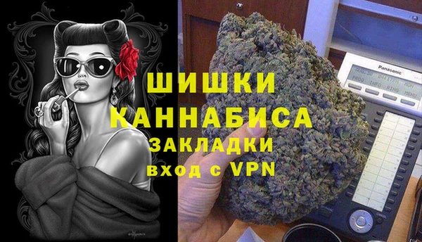 стаф Карпинск