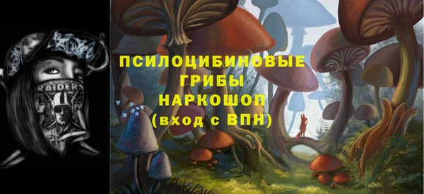 ПСИЛОЦИБИНОВЫЕ ГРИБЫ Киренск