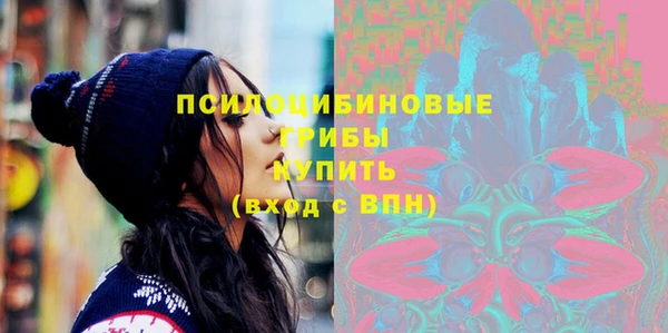 стаф Карпинск