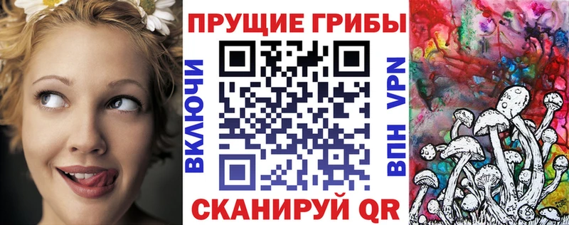 Псилоцибиновые грибы Psilocybine cubensis  Купить закладки  Тверь 